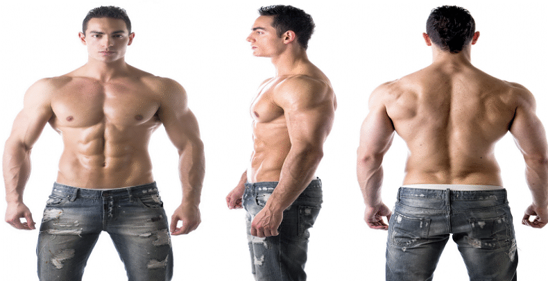 Understanding the Science Behind Building Muscles