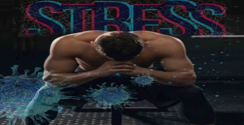 is-stress-robbing-you-of-your-gains