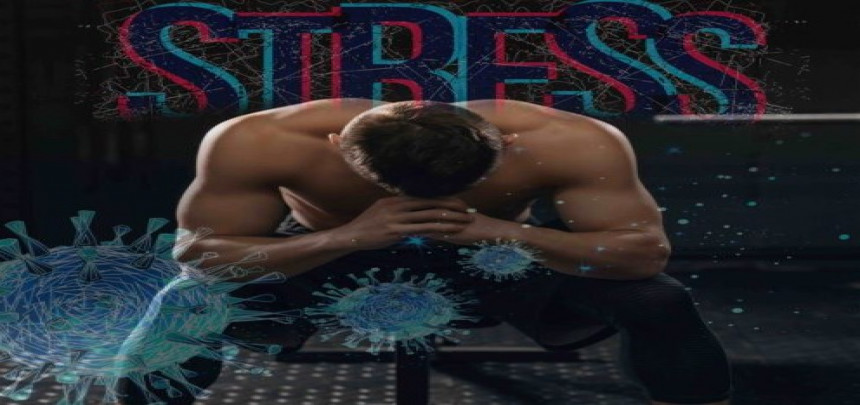 is-stress-robbing-you-of-your-gains